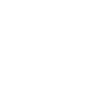BirchStreet Systems